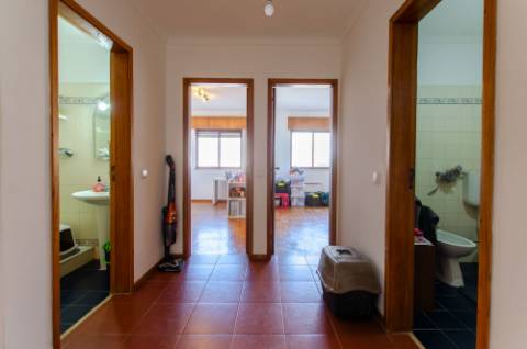 T3 cheio de sol, no Algueirão