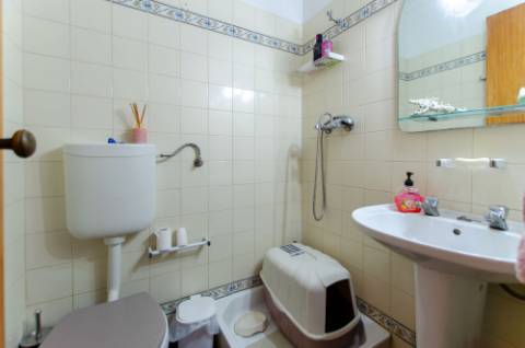 T3 cheio de sol, no Algueirão