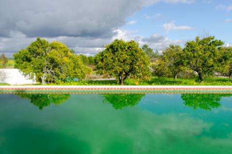 Quinta de 3 Hectares com 3 Moradias a 1h de Lisboa