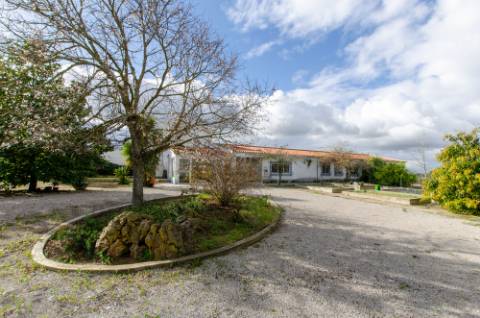 Quinta de 3 Hectares com 3 Moradias a 1h de Lisboa
