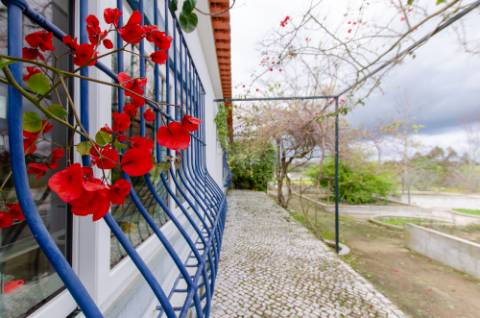 Quinta de 3 Hectares com 3 Moradias a 1h de Lisboa