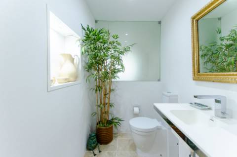 Quinta de 3 Hectares com 3 Moradias a 1h de Lisboa