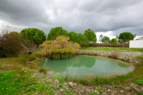 Quinta de 3 Hectares com 3 Moradias a 1h de Lisboa