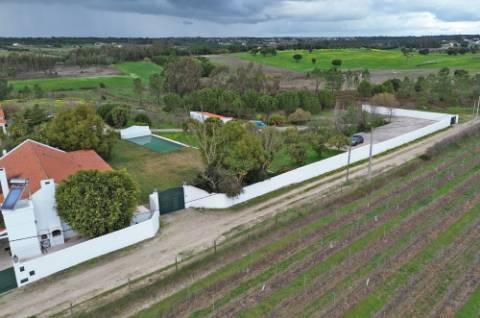 Quinta de 3 Hectares com 3 Moradias a 1h de Lisboa