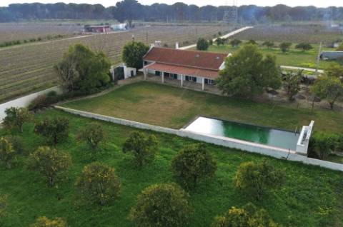 Quinta de 3 Hectares com 3 Moradias a 1h de Lisboa