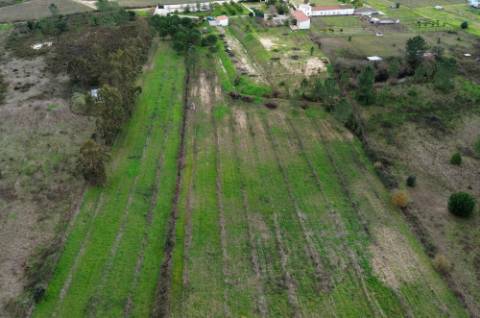 Quinta de 3 Hectares com 3 Moradias a 1h de Lisboa