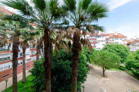 Excelente T2 na Figueirinha, Oeiras