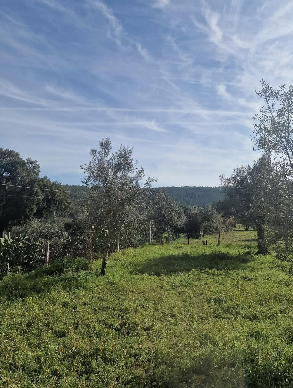 Moradia com terreno para reconstruir em Abrantes