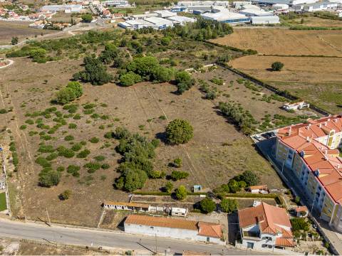 Propriedade de 70 200 m² em Alenquer Potencial de Construção até 17 000 m²
