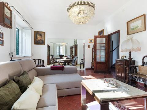 Propriedade de 70 200 m² em Alenquer Potencial de Construção até 17 000 m²
