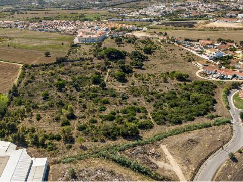Propriedade de 70 200 m² em Alenquer Potencial de Construção até 17 000 m²
