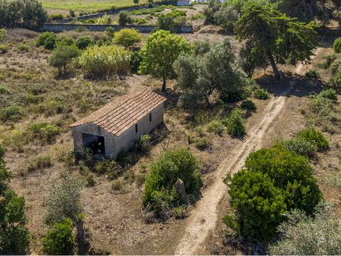 Propriedade de 70 200 m² em Alenquer Potencial de Construção até 17 000 m²
