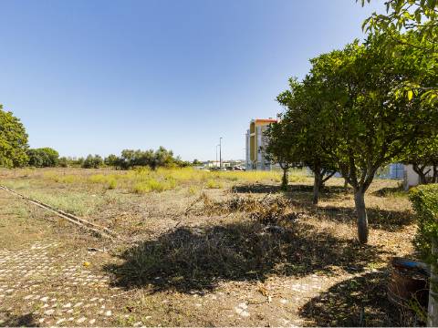 Propriedade de 70 200 m² em Alenquer Potencial de Construção até 17 000 m²
