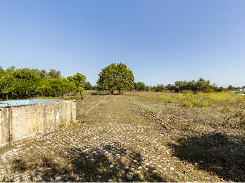 Propriedade de 70 200 m² em Alenquer Potencial de Construção até 17 000 m²
