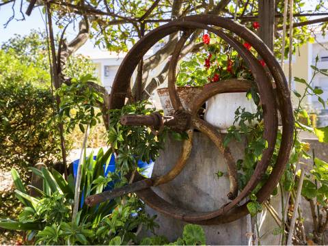 Propriedade de 70 200 m² em Alenquer Potencial de Construção até 17 000 m²
