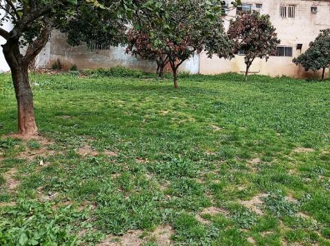 Lote de terreno para construção de 5.051,70 m2, em Benfica, Lisboa