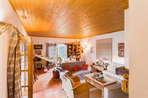 Quinta de 10 Hectares com duas Moradias!