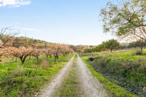 Quinta de 10 Hectares com duas Moradias!