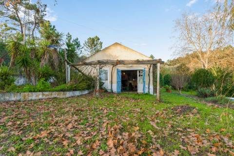 Quinta de 10 Hectares com duas Moradias!