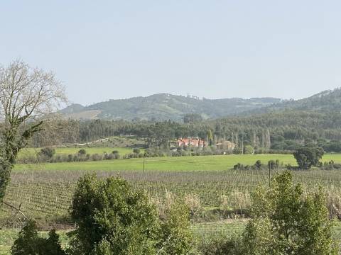 Terreno Rústico com 9080m² bem perto de Torres Vedras no distrito de Lisboa.