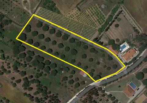 Terreno Rústico com 9080m² bem perto de Torres Vedras no distrito de Lisboa.