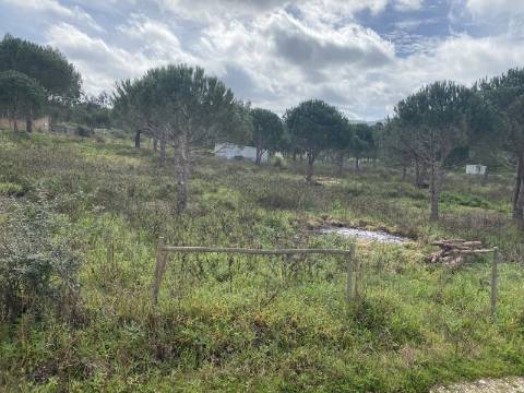 Terreno Rústico com 9080m² bem perto de Torres Vedras no distrito de Lisboa.