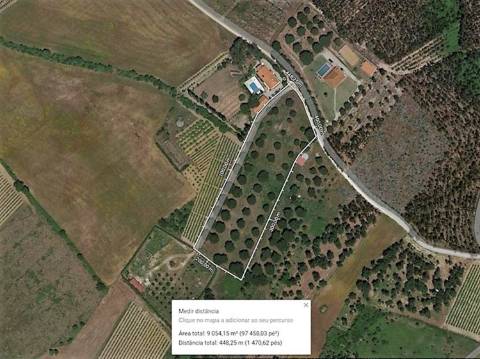 Terreno Rústico com 9080m² bem perto de Torres Vedras no distrito de Lisboa.