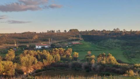 Oportunidade Quinta em Aljezur