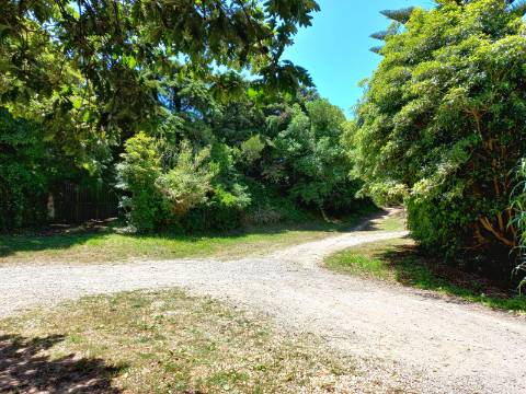 Terreno Rústico em Almoçageme