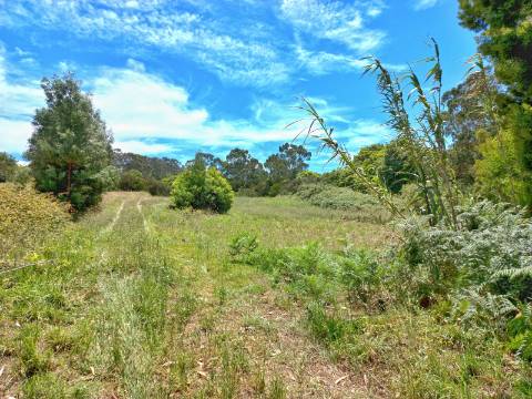 Terreno Rústico em Almoçageme