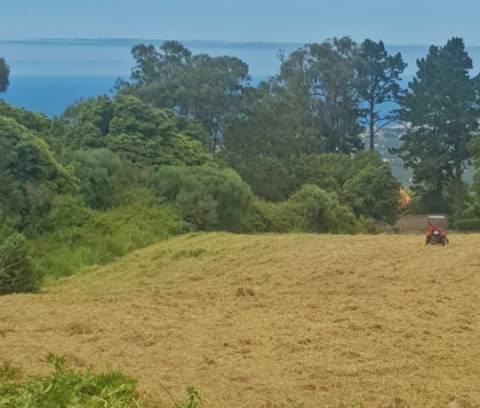 Terreno Rústico em Almoçageme