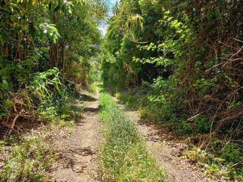 Terreno Rústico em Almoçageme