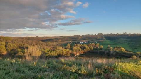 Oportunidade Quinta em Aljezur