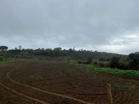 Oportunidade Quinta em Aljezur