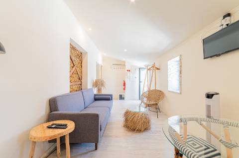 T2 Duplex com Licença de Alojamento Local e Vista Deslumbrante sobre o Tejo Entre Alfama e Graça