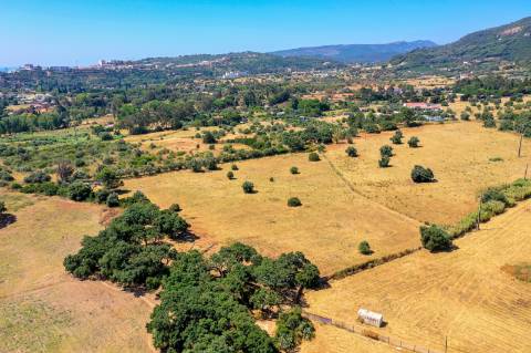 Terreno Rústico c/ Parcela Urbanizável e Projeto Aprovado - Quinta das Machadas, Setúbal