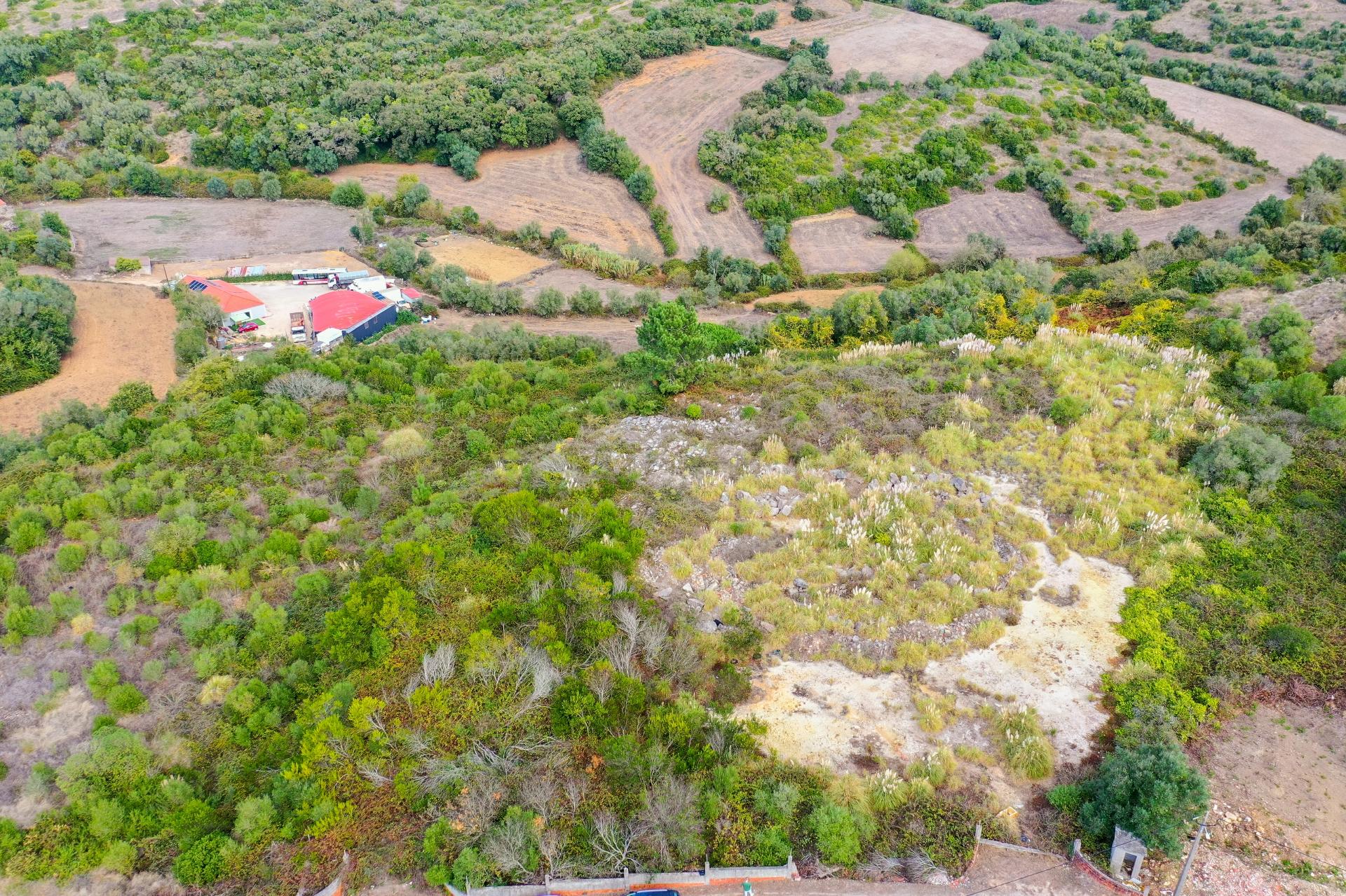 Terreno Rústico à Venda - Campitos