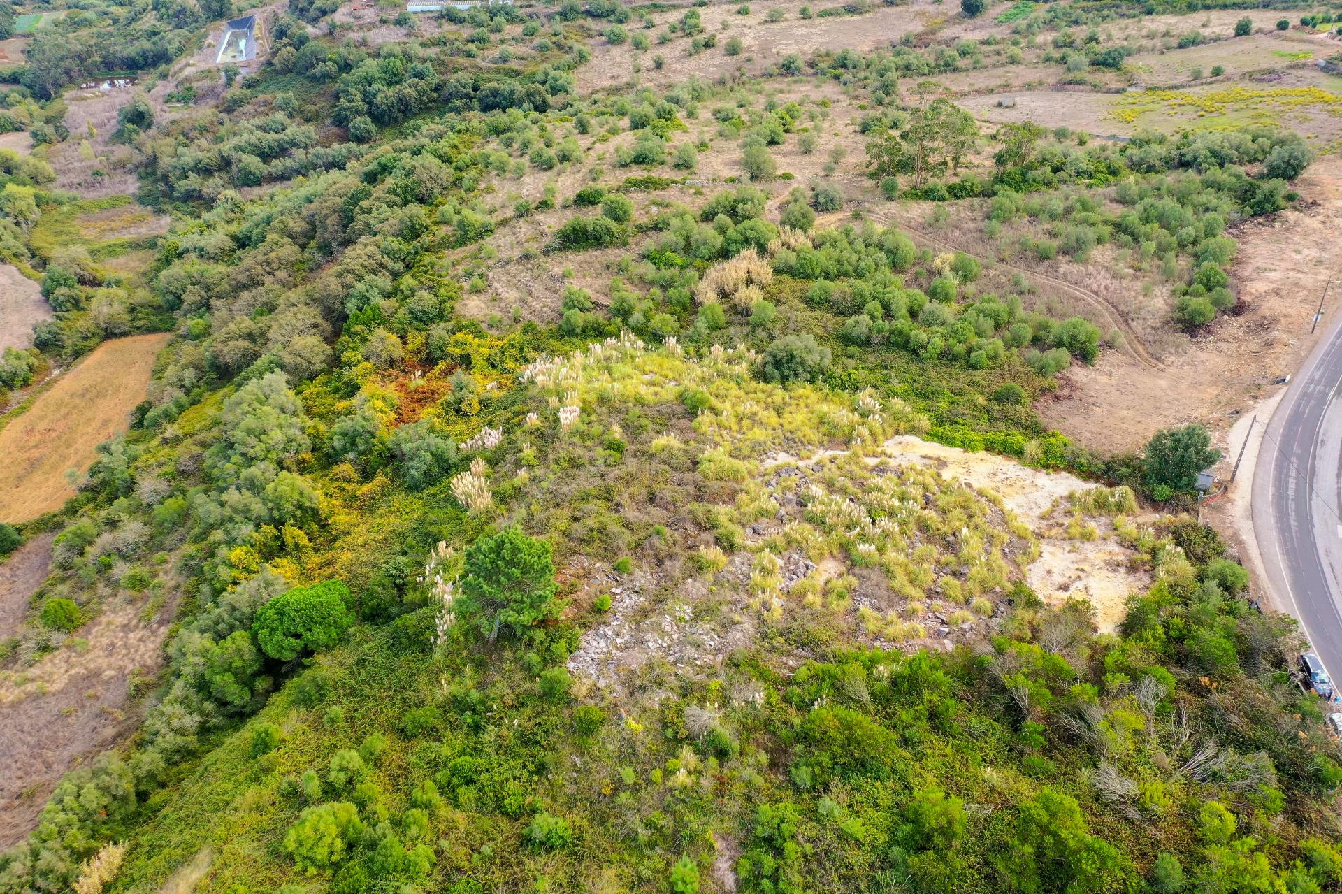 Terreno Rústico à Venda - Campitos