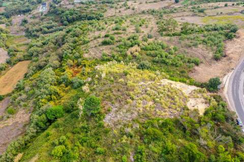 Terreno Rústico à Venda - Campitos