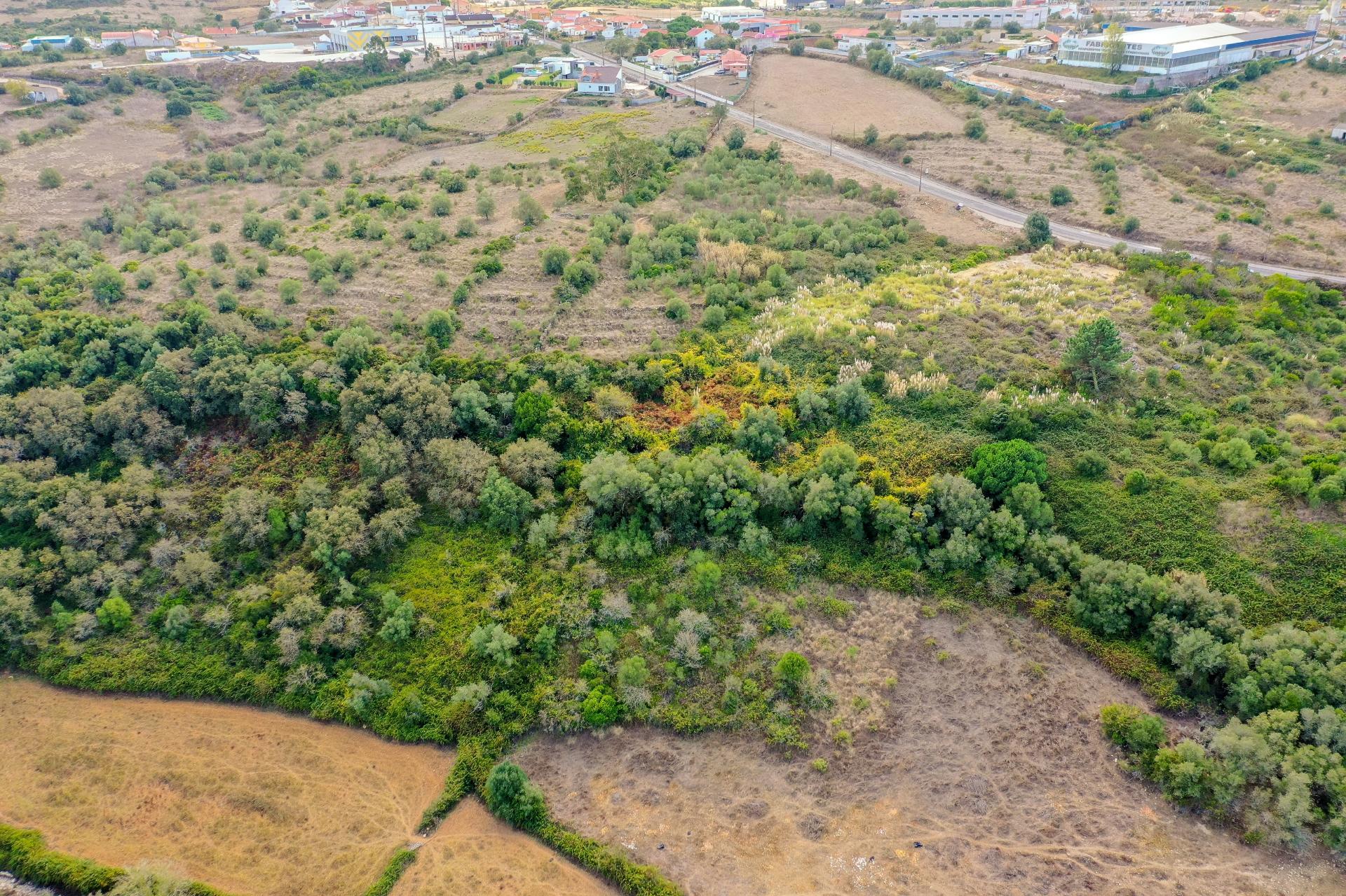 Terreno Rústico à Venda - Campitos