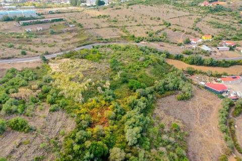Terreno Rústico à Venda - Campitos