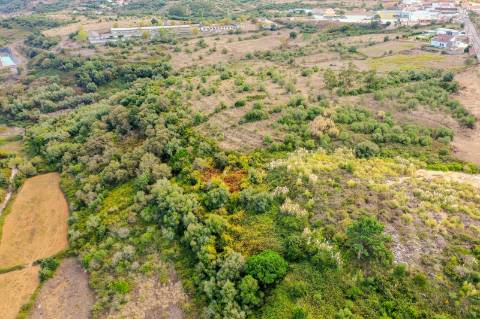 Terreno Rústico à Venda - Campitos