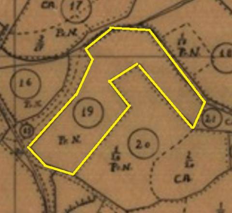 Terreno Rústico à Venda - Campitos