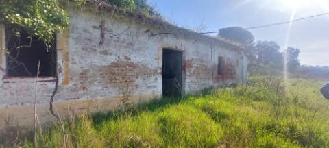 Quinta Chamusca, Golegã