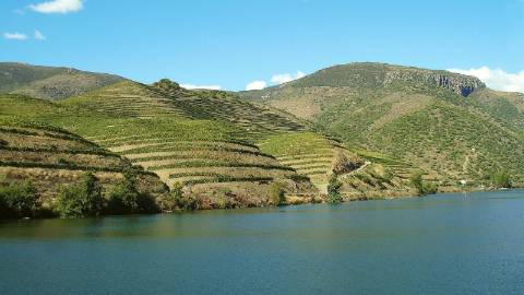 Moradia T4 no Douro