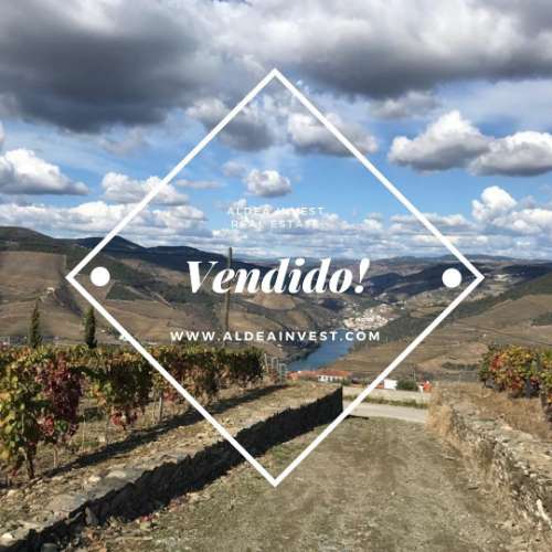 Quinta em Valença do Douro