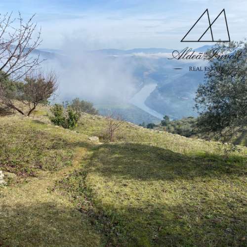 Encantadora Quintinha no Coração do Douro Vinhateiro