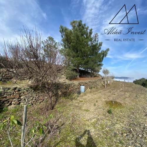 Encantadora Quintinha no Coração do Douro Vinhateiro