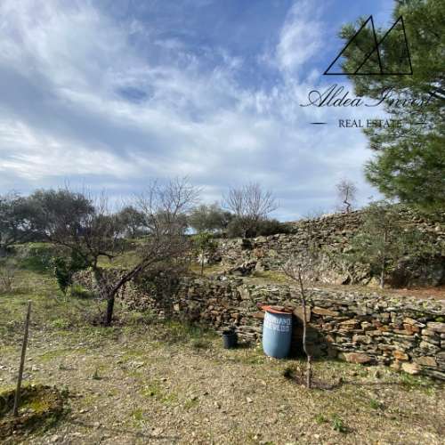 Encantadora Quintinha no Coração do Douro Vinhateiro