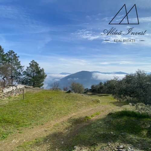 Encantadora Quintinha no Coração do Douro Vinhateiro